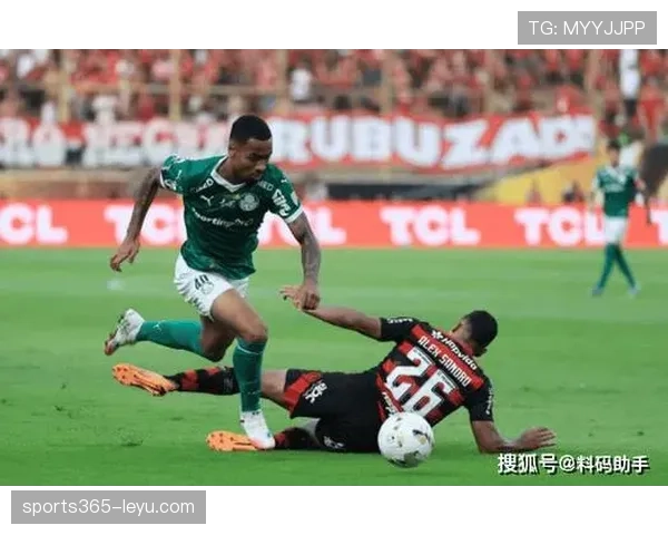 南美足球联赛强度升级,各队激战正酣状态全面回暖 南美足球联赛强度升级,各队激战正酣状态全面回暖